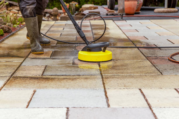 Animal Enclosure Cleaning in Ridgeway, VA